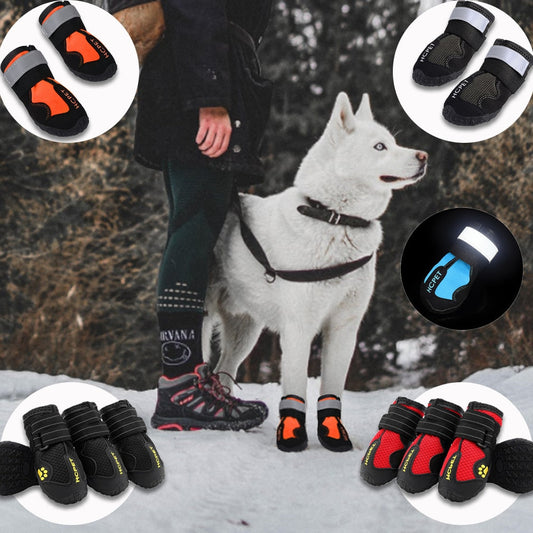 Waterproof reflective dog boots in various colors on a dog walking in snow.