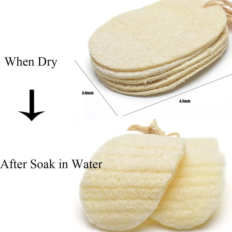 3 Pack Luffa Cleaning Sponge