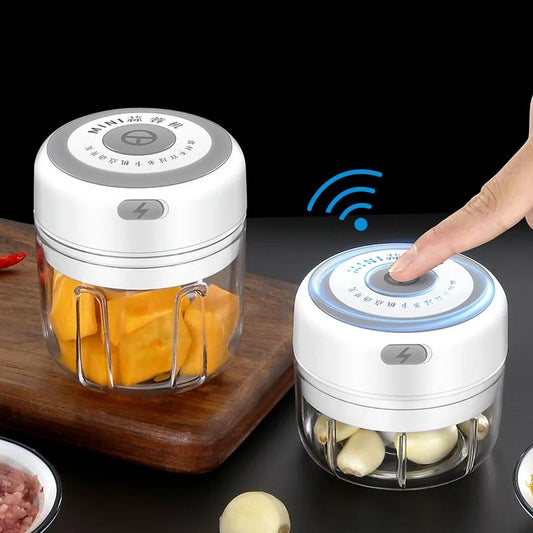 Electric Food Crusher Mini