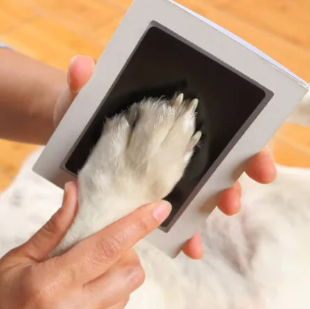 Paw Print Clean Touch Ink Pad